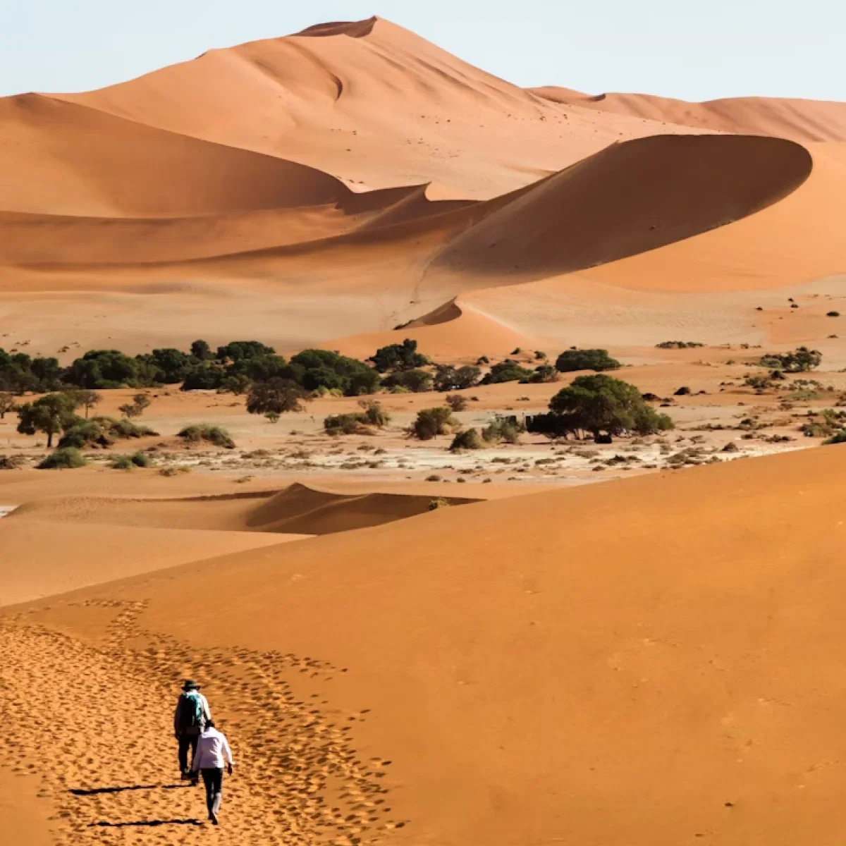 2025-10-9-—-Namibia-web