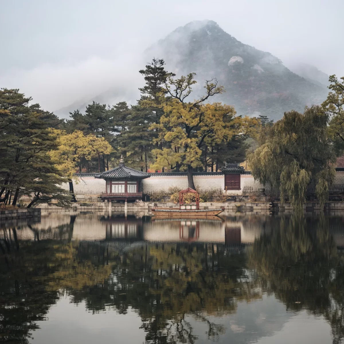 2025-3-5-—-Korea