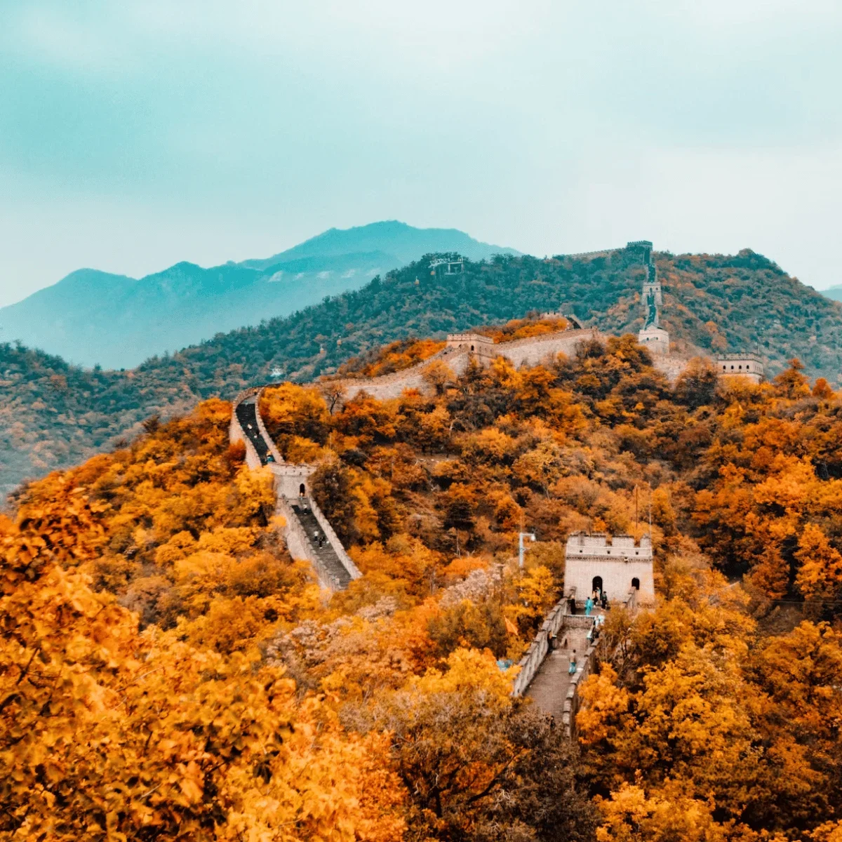2025-11-8-—-China-web-1