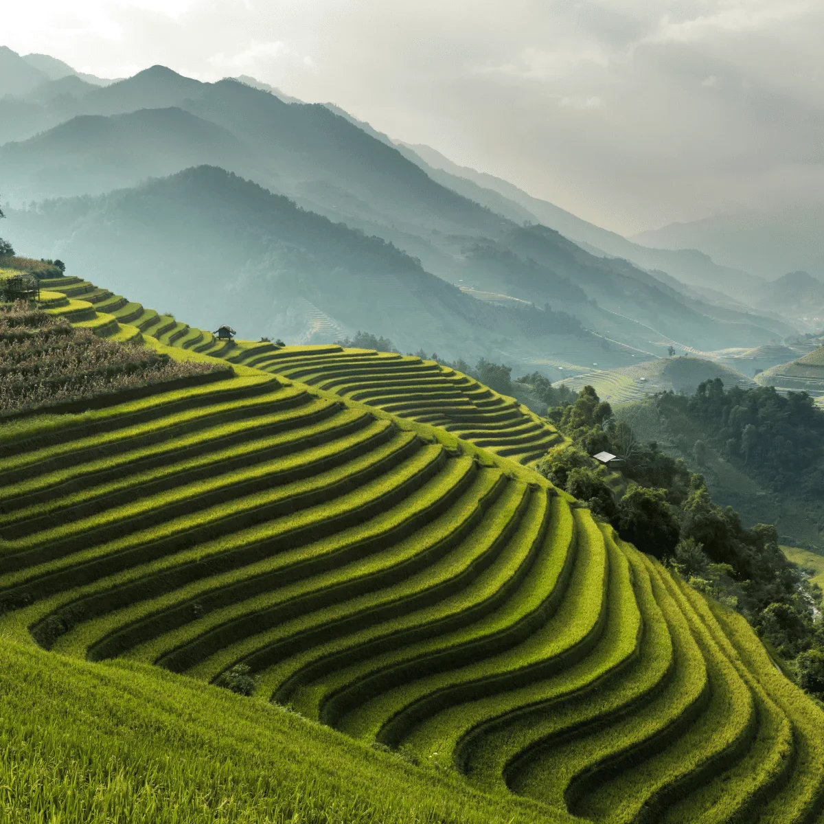2025-9-04—-Laos-web-1
