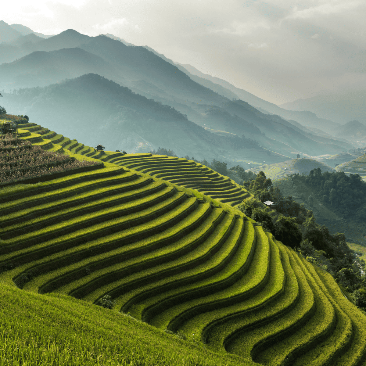 Laos führt digitales Einreisekartensystem ein