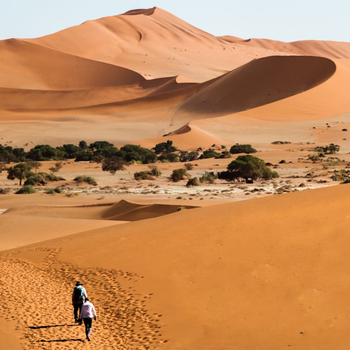 Namibia hat für 36 Länder Visa bei der Ankunft eingeführt