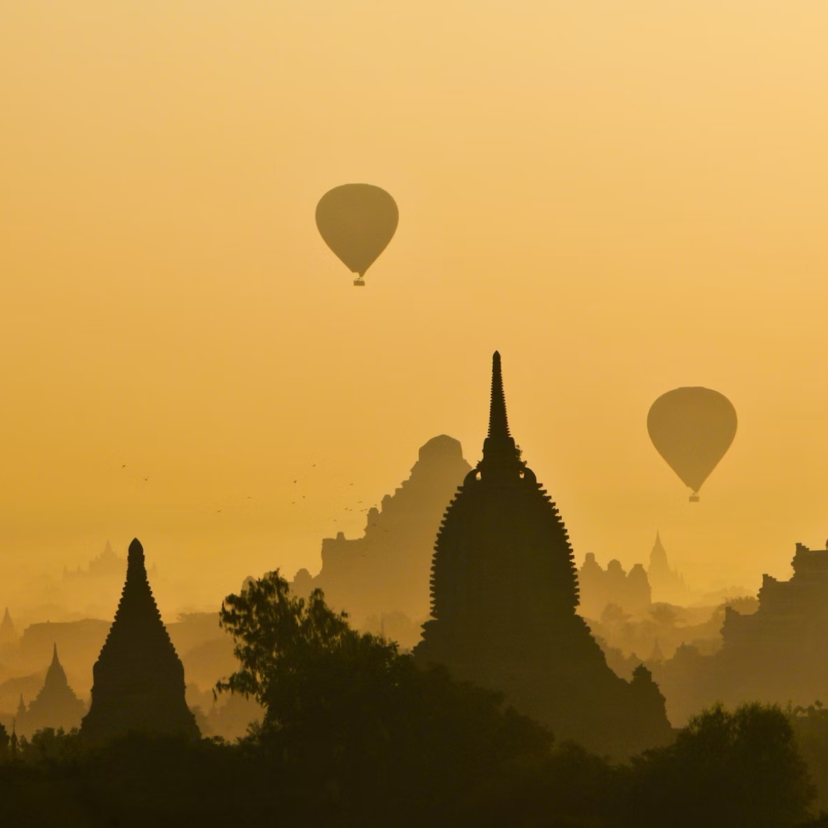 Indien senkt e-Visum-Gebühren in der Nebensaison Indien senkt e-Visum-Gebühren in der Nebensaison
